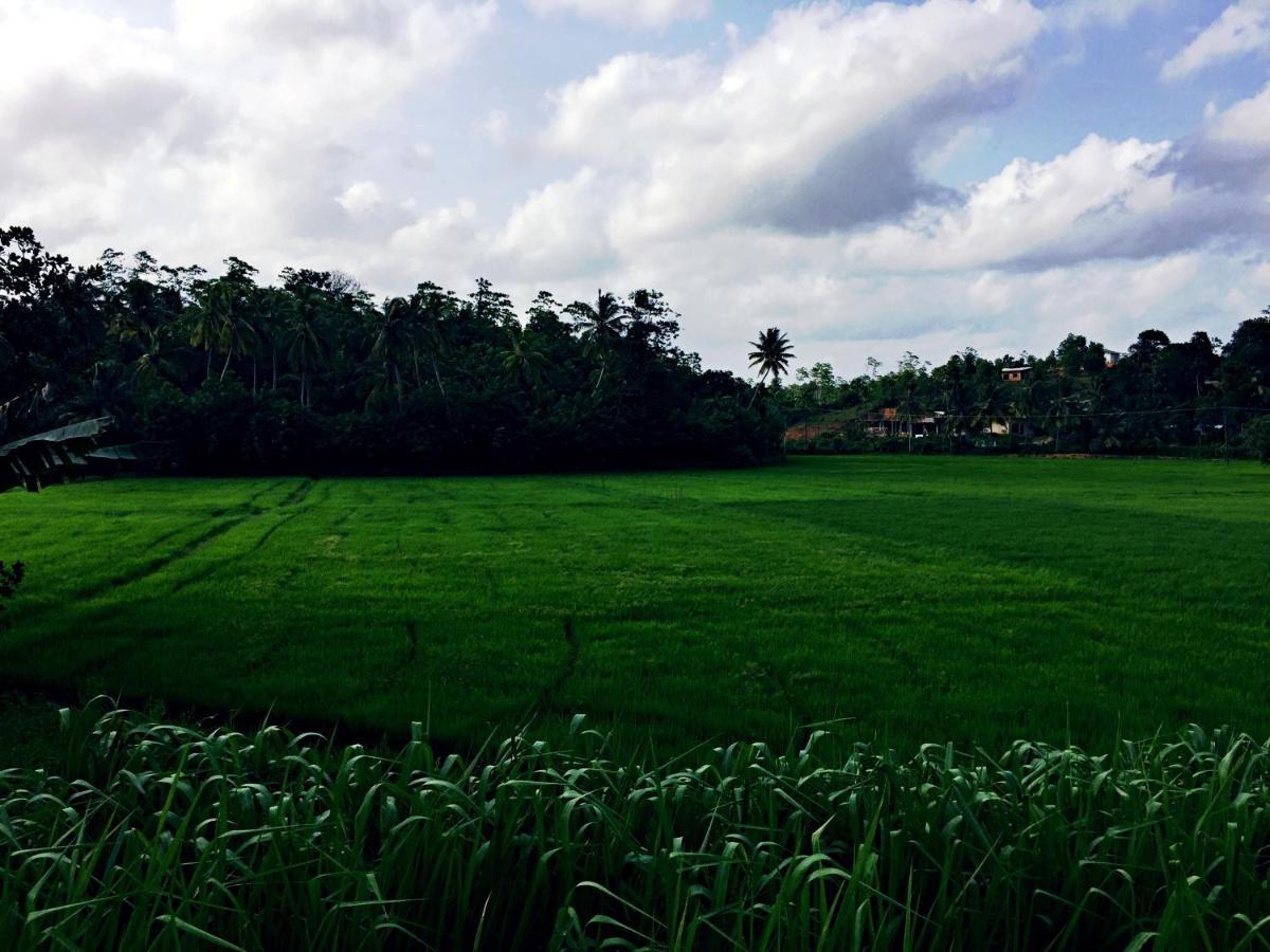 Thaaaru Villa Mirissa Bagian luar foto